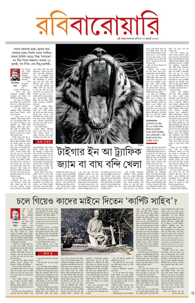 paper-img